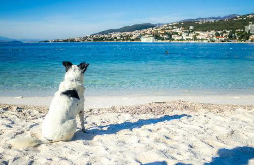 Vintage Residence Dramalj, pool self-use - Foto 55