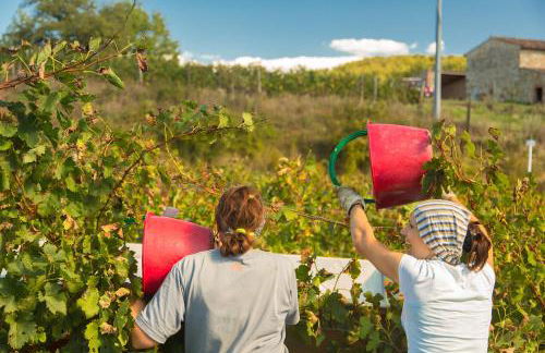 Castello di Volpaia - Foto 111