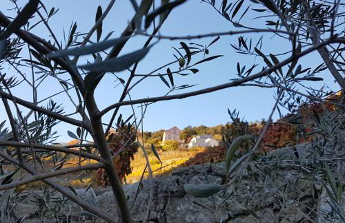Quinta Barqueiros D'Ouro - Casa da Música - Photo 60