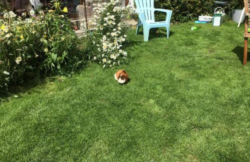 Kitty Unique 60s Caravan set in Pretty Garden - Foto 26