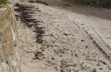 Penthouse on the Harbour - Pittenweem - Foto 18