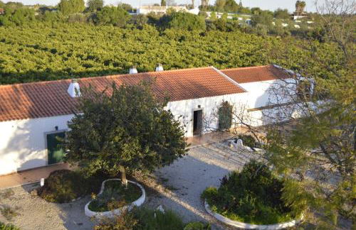 Hortas de Baixo - Foto 15