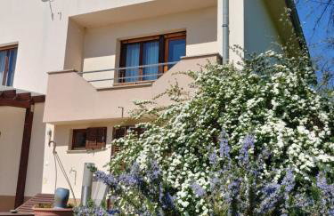 Apartman Arena - Foto 17