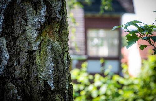 BLUMEINS - Das Refugium - Foto 32