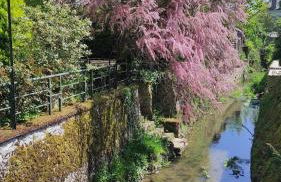 Gîte authentique près Zoo de Beauval et Châteaux - Photo 14