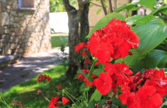 Casitas Del Huerto - Foto 9