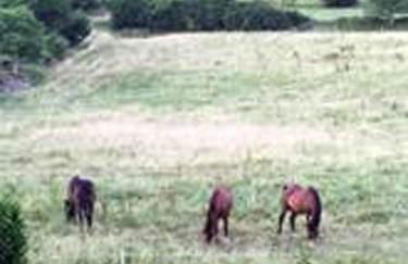 Ferienwohnung Abracadabra - Foto 6