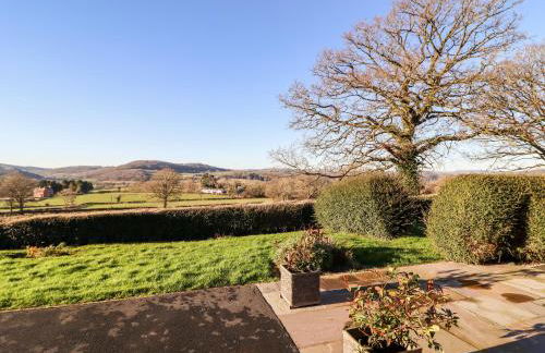 Berwyn View - Photo 31