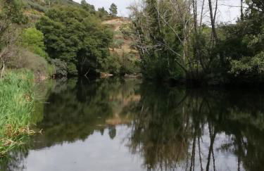 Casa do Rebelhe - Foto 50