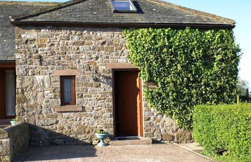 Gill Cottage, Castle Carrock, characterful cottage for romantic break with hot tub and 2 dogs welcome - Foto 2