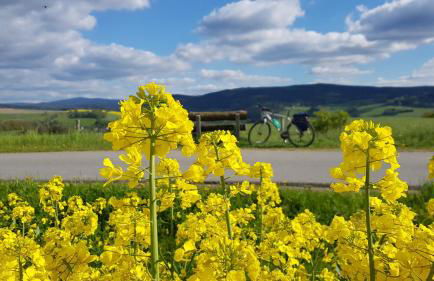 Ferienwohnung Hillig - Foto 38
