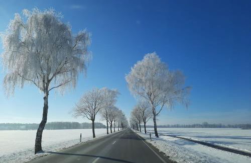 Villa Romantica Lenzen - Foto 34