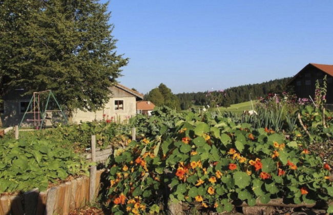 Maison de vacances - Les Hirondelles - Foto 26