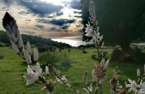 Charming house with sea and mountain views in El Chaparral - Foto 9