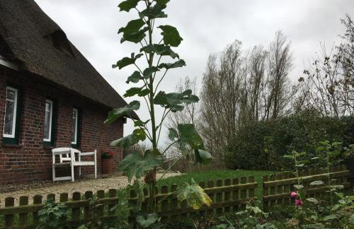 Reetdachhaus Moordeichperle - Photo 27