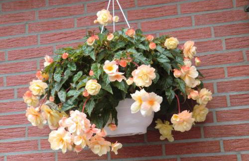 Ferienwohnung Landidyll - Foto 2