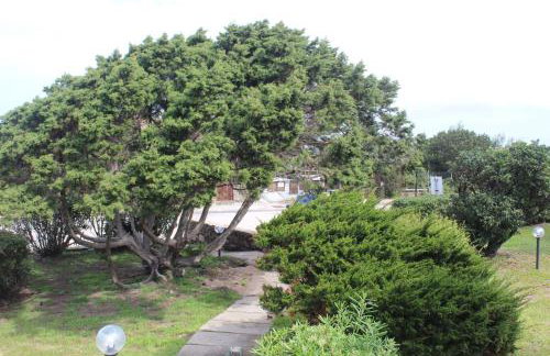 Casa vacanze Nuovi Orizzonti I3 - Stintino - Foto 4