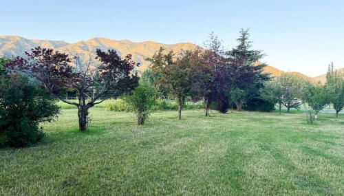 Country House - Photo 3