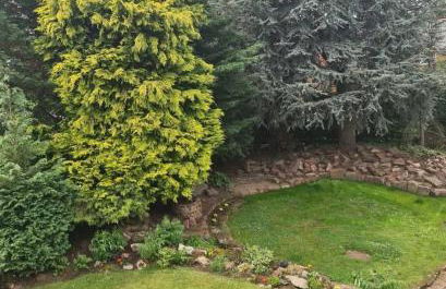 Gem of a cottage Close to Chester Chester Zoo - Foto 23