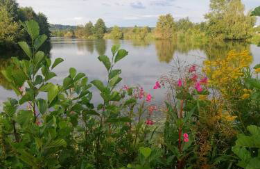 Haus Rosenbusch - Foto 19