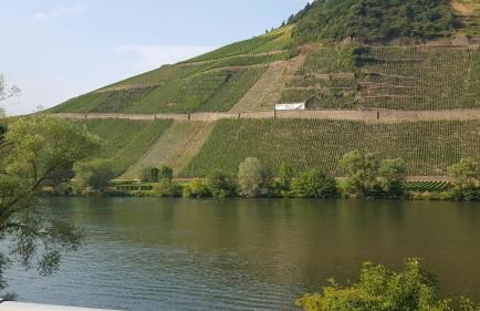 Zur Königslay - Foto 32