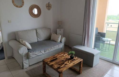 Le cocon de Marie,piscine, balcon, parking gratuit, baignoire - Foto 6