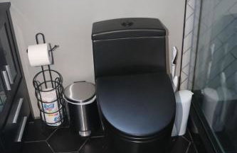 Spacious & Elegant 3 full bedroom apartment - Heart of Long Island - Foto 9