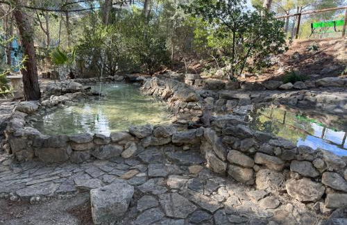 Casas Rurales La Navela - Foto 20