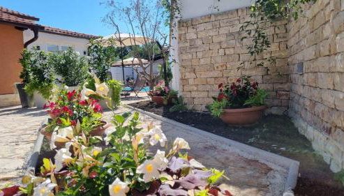 Villa Natka - Foto 5, Garden