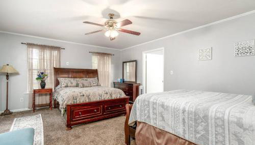 Comfort and Joy - Foto 2