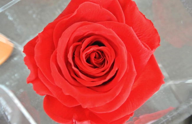 Ofra Matera - Foto 27