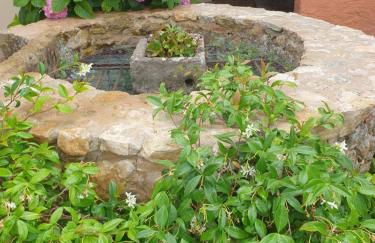 Apartaments Rurals Ai Manyac - Foto 9