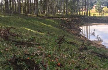 Casa de campo Serra Alta - Foto 12