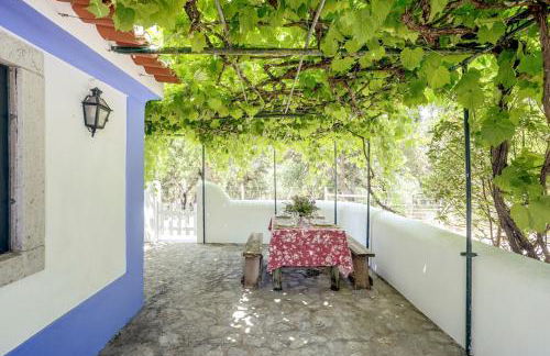 Casa do Monte - Foto 5