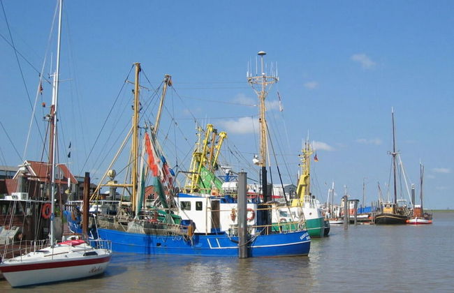 Holiday Home Hooge Warf - Foto 13