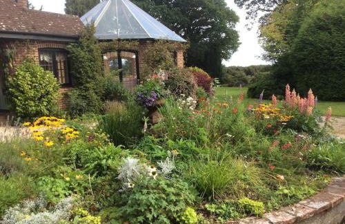 Holmans NEW FOREST - Photo 53