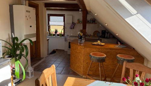 Schöne Ferienwohnung im Erholungsort Sternberg - Photo 3, stove