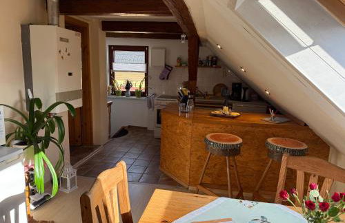 Schöne Ferienwohnung im Erholungsort Sternberg - Foto 3