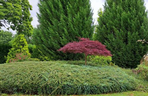 PORTA ESPERANZA - Foto 24