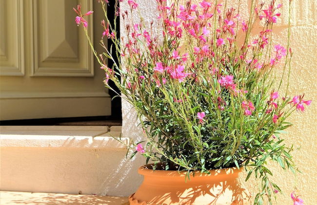 Yellow House - Foto 42