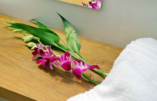 Amaranto Romano - Foto 24