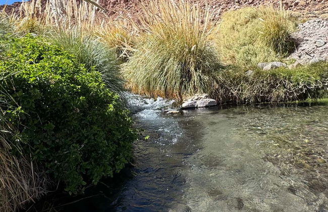 Puritama Hot Springs Trip - Photo 6