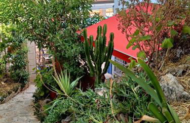 Casa Oasis - Foto 37