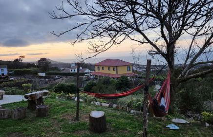 Biscoitos Top View - Photo 46