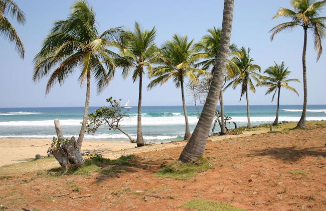 SLABDR Coliving | Once Surf Salvación. - Foto 32