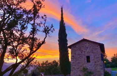 Castello di Viano - Foto 33