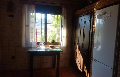 La chumbera - Foto 4