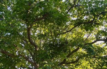 Zirganos Horton Pelion Apartment 2 - Foto 14