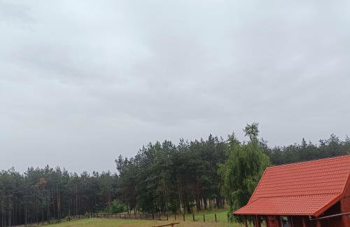 Domek u Natalii - Foto 8