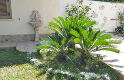 Appartamenti Borgo Panoramico N 3 - Photo 55